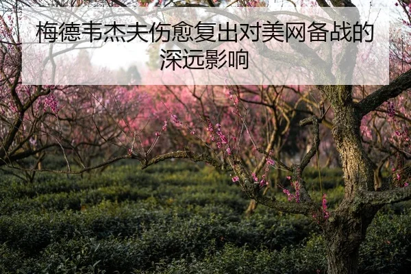 梅德韦杰夫伤愈复出对美网备战的深远影响